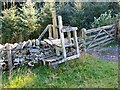 NT4328 : Stile at Traquair Plantation by Jim Barton