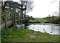 SH6473 : Footbridge crossing the Afon Aber by Mat Fascione