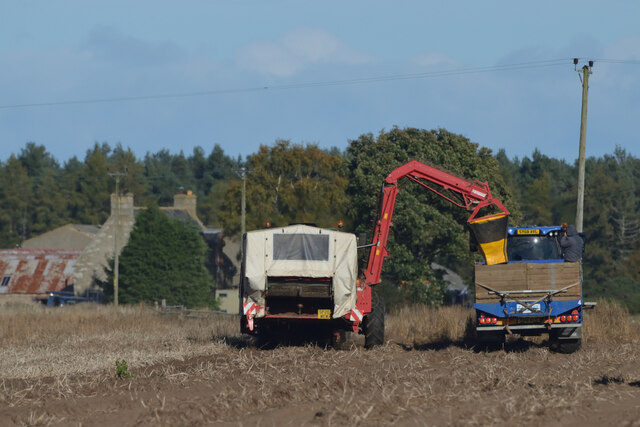 Potato Harvesting near Tain, Highlands