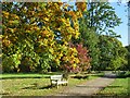 SE2754 : Autumn colour at Harlow Carr Gardens, Harrogate by Malc McDonald