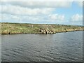 SJ4577 : Rubble, north bank, Manchester Ship Canal by Christine Johnstone