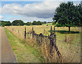 TL8646 : Disused Gates, Melford Hall by Des Blenkinsopp