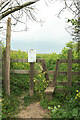 SX6448 : Stile near Kingston by Derek Harper