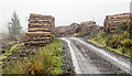 NX4976 : Logs stored beside forest road by Trevor Littlewood