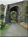 SH6112 : Railway bridge near Fairbourne by Richard Hoare