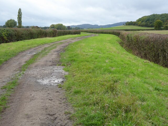 Farmland track