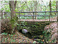 SE1712 : Footbridge over Range Dike, Farnley Tyas by Humphrey Bolton