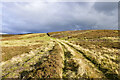 NZ0139 : Hill track rising on slope of Fatherley Hill by Trevor Littlewood