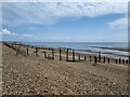 TQ9216 : Rye Harbour Nature Reserve by PAUL FARMER