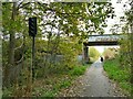 SE2320 : Old signal by the Greenway by Stephen Craven