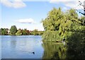 ST1879 : Cardiff - Roath Park Lake by Colin Smith