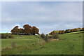 SK1060 : Footpath Gradually ascending towards Townend by Chris Heaton