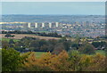 SO9380 : Tower blocks in Brierley Hill by Mat Fascione