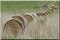 SO8843 : Hay bales in Croome Park by Philip Halling