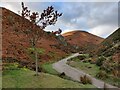 SO4395 : Mott's Road ascending the Carding Mill Valley by Mat Fascione