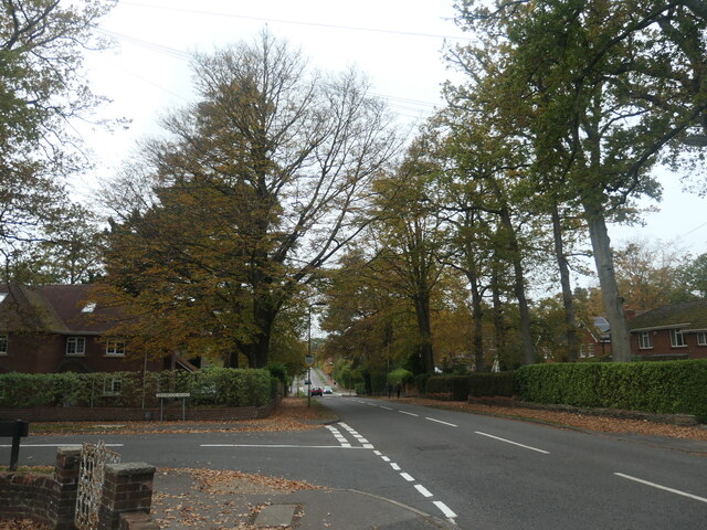 Hiltingbury Road, Chandler's Ford