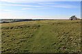 TQ5702 : Intersection point of a causeway and bank on Coombe Hill, Sussex by Adrian Diack