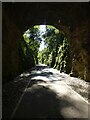 ST4255 : Southern end of Winscombe Hill tunnel, Strawberry Line by David Smith