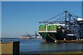 TM2732 : Container vessel unloading at the Port of Felixstowe, from the roof of Landguard Fort by Christopher Hilton