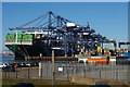 TM2832 : Port of Felixstowe from the roof of Landguard Fort by Christopher Hilton