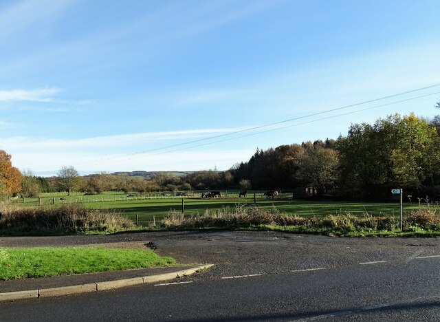 Grazing field at Blackhall Mill