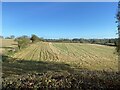 SP3068 : Stubble field, northern edge of the Avon valley by Robin Stott