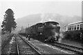 SX7466 : Buckfastleigh Station  1970 by Alan Murray-Rust