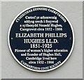 SN4120 : Elizabeth Phillips Hughes (1851-1925) by Gerald England