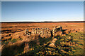 NY9414 : Sheepfold in Sled Dale by Andy Waddington