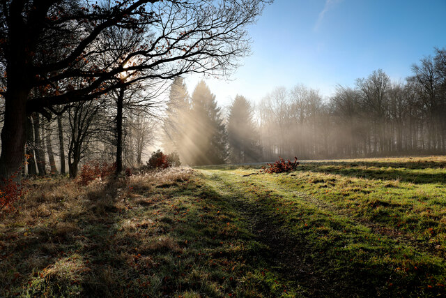 Sunshine from the Folly