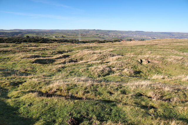 Heavily exploited common land on Cockfield Fell