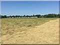 SO9136 : Haymaking in Twyning Meadow by Philip Halling