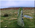 SO3098 : Standing stone at the Mitchell's Fold Stone Circle by Mat Fascione