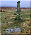 SO3098 : Mitchells Fold Stone Circle by Mat Fascione