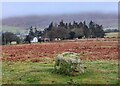 SO3098 : Standing stone at the Mitchells Fold Stone Circle by Mat Fascione