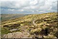 SK0787 : The Pennine Way north of Kinder Low by Jeff Buck