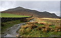 J3422 : Slieve Binnian from Carrick Little by Rossographer