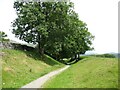 SD2996 : The Coniston Branch near Park Gate by Adrian Taylor