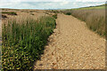 SY5286 : Coast path near West Bexington Nature Reserve by Derek Harper