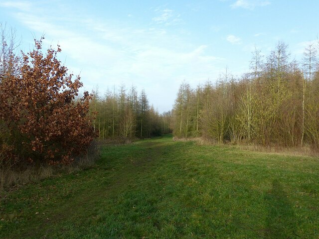 Footpath junction in woodland south of Radcliffe on Trent