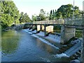 ST2224 : French Weir, Taunton by Stephen Craven