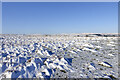 NY9936 : Mini-snow drifts on north side of Catterick by Trevor Littlewood