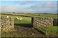 SK1876 : Gateway with Limestone walls and Concrete Posts, near Wardlow, Derbyshire by Andrew Tryon