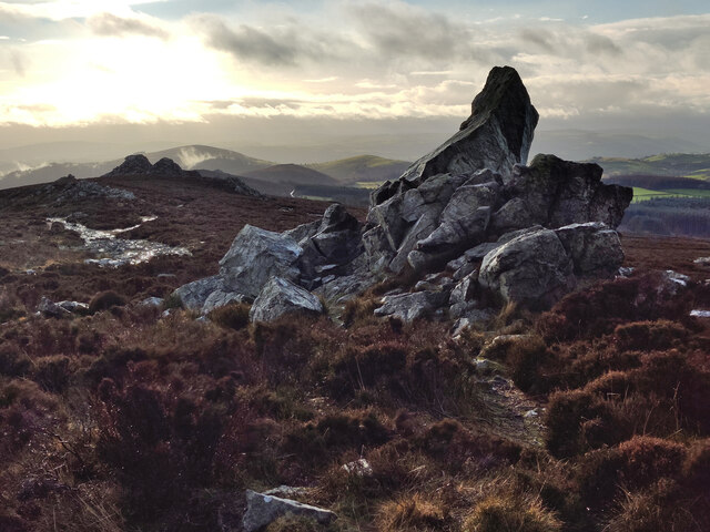 Rock outcrop on the Stiperstones