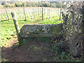 SO8301 : Stone Stile, Woodchester by Mr Red