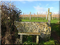 SO8301 : Stone Stile, Woodchester by Mr Red