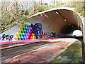 ST5391 : Entrance to the Caerwent Lane underpass, Chepstow by Ruth Sharville