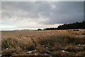 NZ0706 : Outlying barn north of Long Green Farm by Andy Waddington