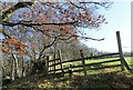 NZ1148 : Coffee break at Rabbitbank Wood by Robert Graham