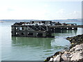 SX9257 : Gathering rubbish on the jetty by Neil Owen